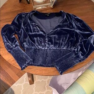 Blue velvet blouse